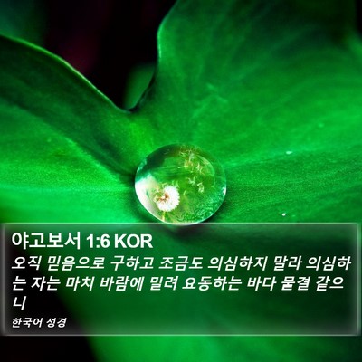 야고보서 1:6 KOR Bible Verse Image