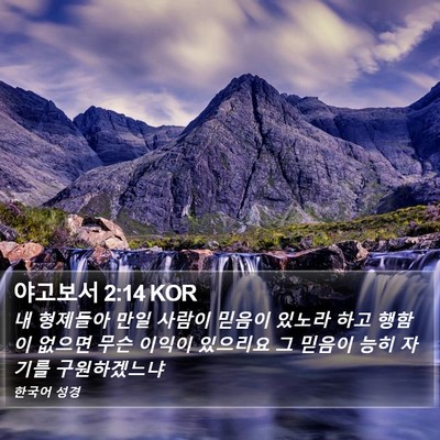 야고보서 2:14 KOR Bible Verse Image