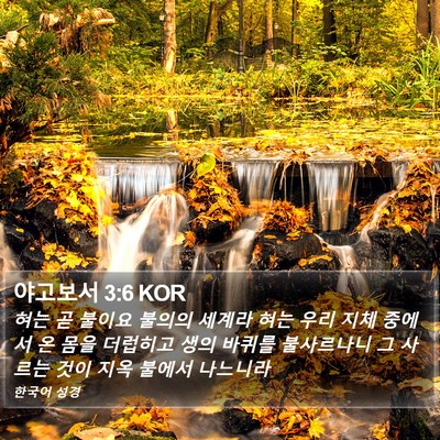 야고보서 3:6 KOR Bible Verse Image