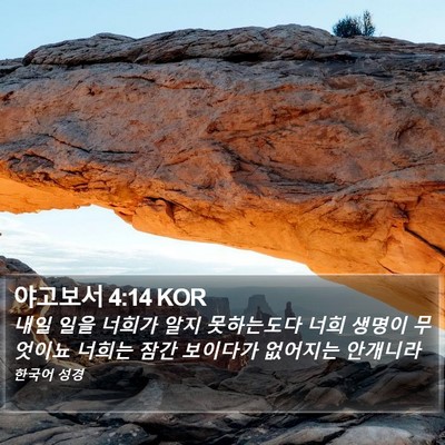 야고보서 4:14 KOR Bible Verse Image