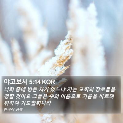 야고보서 5:14 KOR Bible Verse Image