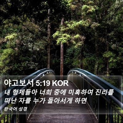 야고보서 5:19 KOR Bible Verse Image