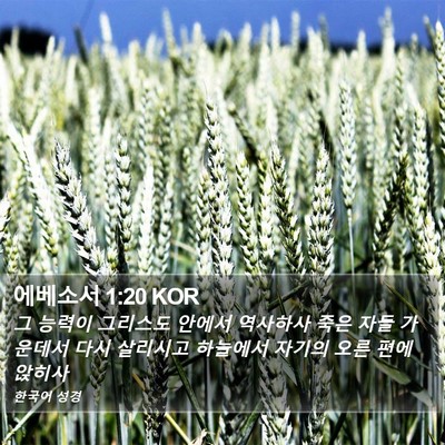 에베소서 1:20 KOR Bible Verse Image