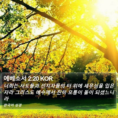 에베소서 2:20 KOR Bible Verse Image
