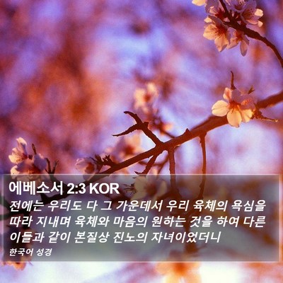 에베소서 2:3 KOR Bible Verse Image