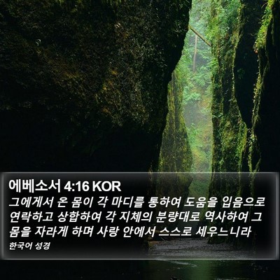 에베소서 4:16 KOR Bible Verse Image
