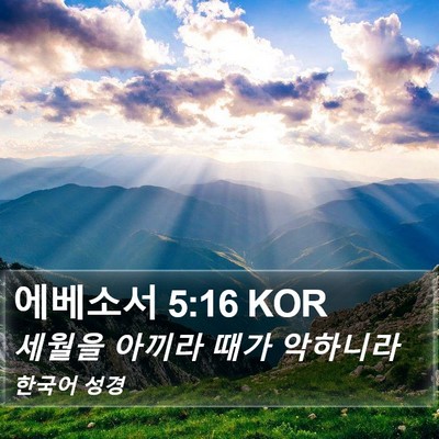에베소서 5:16 KOR Bible Verse Image