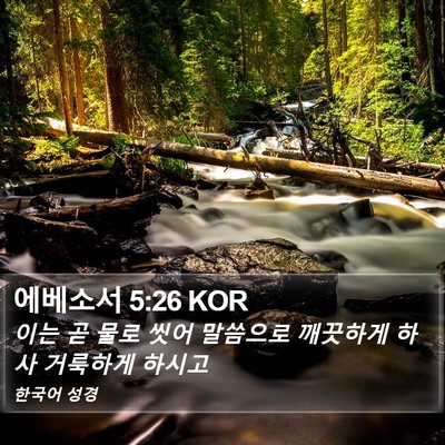 에베소서 5:26 KOR Bible Verse Image