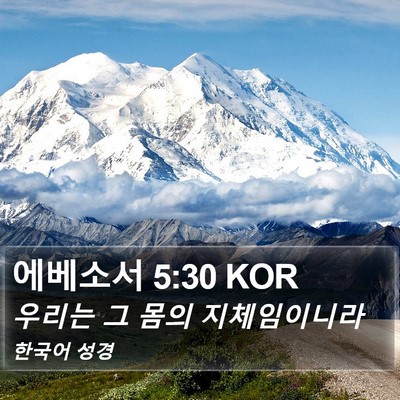 에베소서 5:30 KOR Bible Verse Image
