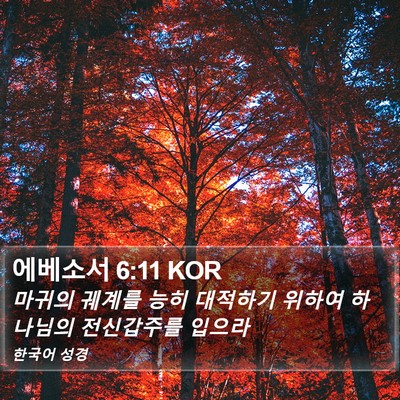에베소서 6:11 KOR Bible Verse Image