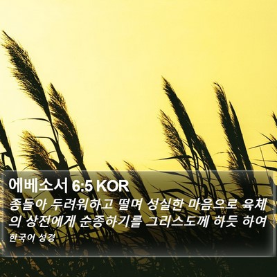 에베소서 6:5 KOR Bible Verse Image