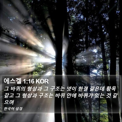 에스겔 1:16 KOR Bible Verse Image