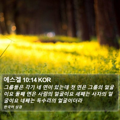 에스겔 10:14 KOR Bible Verse Image