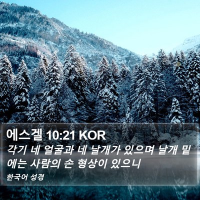 에스겔 10:21 KOR Bible Verse Image