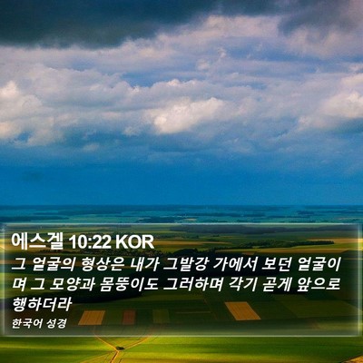 에스겔 10:22 KOR Bible Verse Image