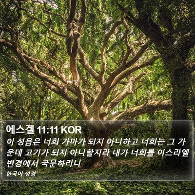 에스겔 11:11 KOR Bible Verse Image