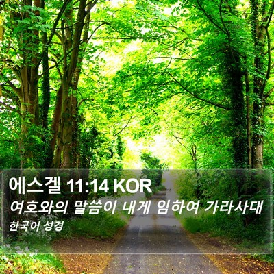 에스겔 11:14 KOR Bible Verse Image