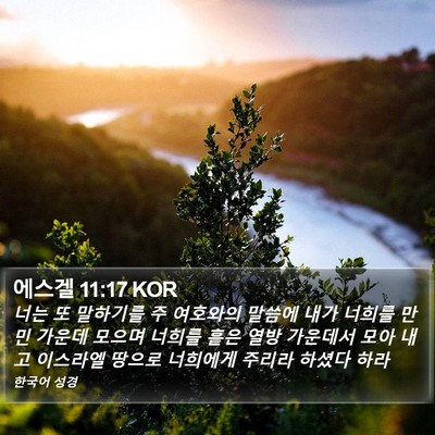 에스겔 11:17 KOR Bible Verse Image