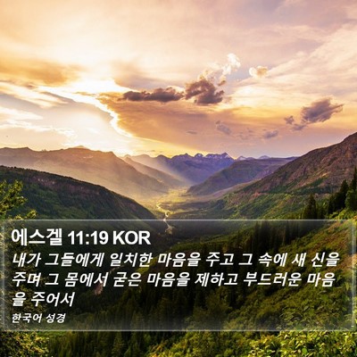 에스겔 11:19 KOR Bible Verse Image