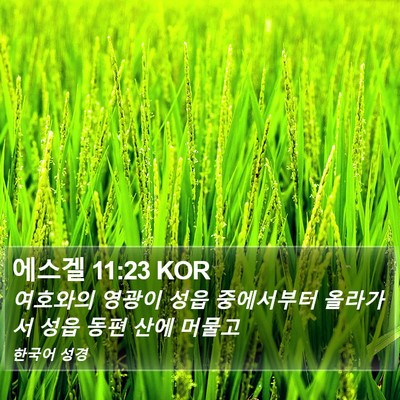 에스겔 11:23 KOR Bible Verse Image