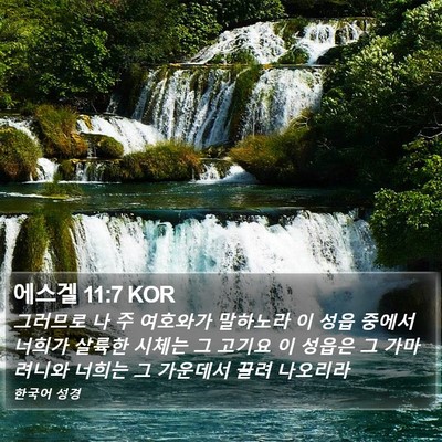 에스겔 11:7 KOR Bible Verse Image