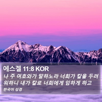 에스겔 11:8 KOR Bible Verse Image