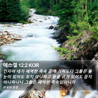 에스겔 12:2 KOR Bible Verse Image