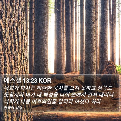 에스겔 13:23 KOR Bible Verse Image