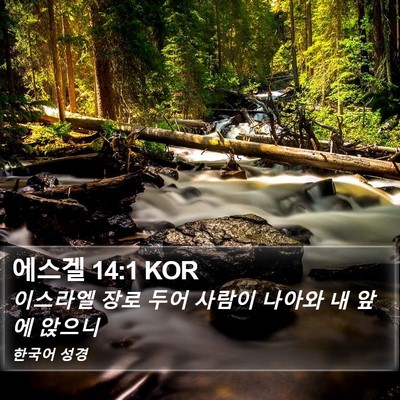 에스겔 14:1 KOR Bible Verse Image
