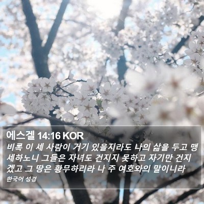 에스겔 14:16 KOR Bible Verse Image