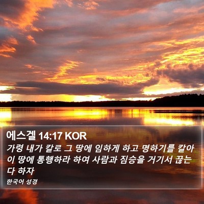 에스겔 14:17 KOR Bible Verse Image