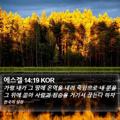 에스겔 14:19 KOR Bible Verse Image