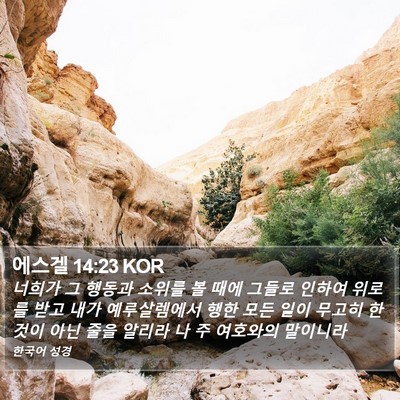 에스겔 14:23 KOR Bible Verse Image