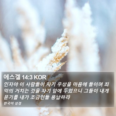 에스겔 14:3 KOR Bible Verse Image