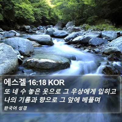 에스겔 16:18 KOR Bible Verse Image