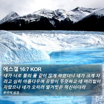 에스겔 16:7 KOR Bible Verse Image