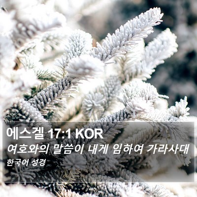 에스겔 17:1 KOR Bible Verse Image