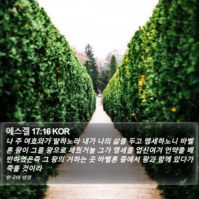 에스겔 17:16 KOR Bible Verse Image