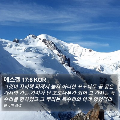 에스겔 17:6 KOR Bible Verse Image