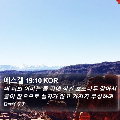 에스겔 19:10 KOR Bible Verse Image