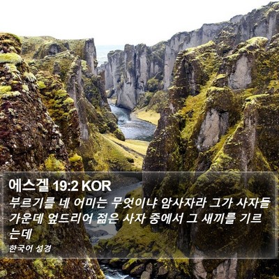 에스겔 19:2 KOR Bible Verse Image
