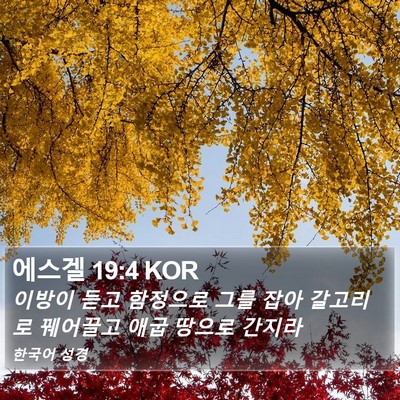 에스겔 19:4 KOR Bible Verse Image