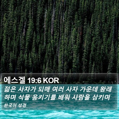 에스겔 19:6 KOR Bible Verse Image