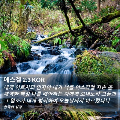 에스겔 2:3 KOR Bible Verse Image