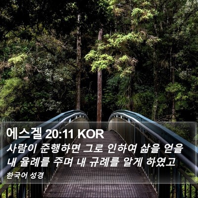 에스겔 20:11 KOR Bible Verse Image