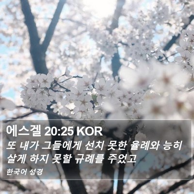 에스겔 20:25 KOR Bible Verse Image