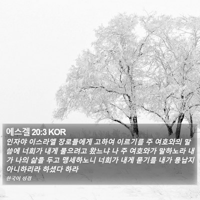 에스겔 20:3 KOR Bible Verse Image