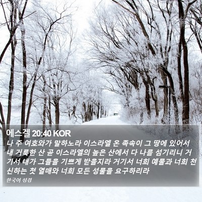 에스겔 20:40 KOR Bible Verse Image