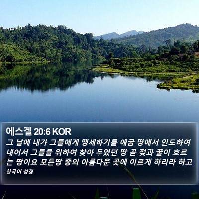 에스겔 20:6 KOR Bible Verse Image