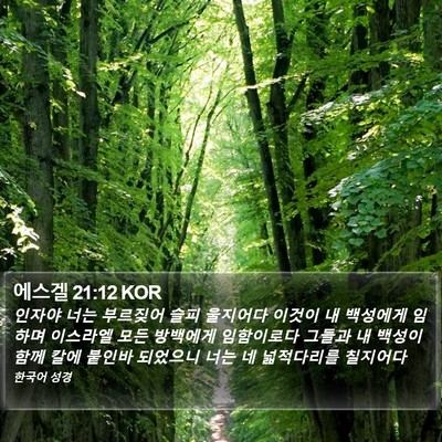 에스겔 21:12 KOR Bible Verse Image